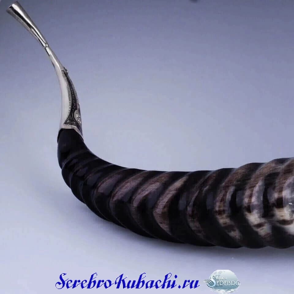 рог из серебра