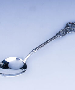 серебряная ложка козерог