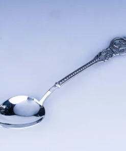 серебряная ложка козерог