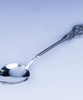 серебряная ложка козерог