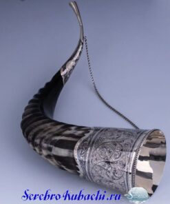 рог из серебра