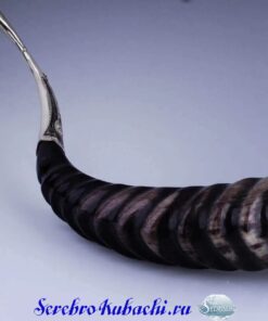 рог из серебра