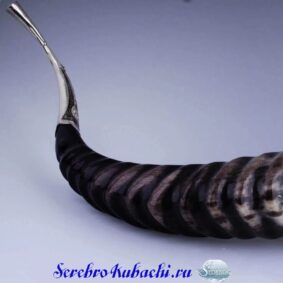 рог из серебра