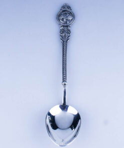 серебряная ложка рыба