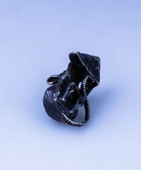 серебряная кошельковая мышь