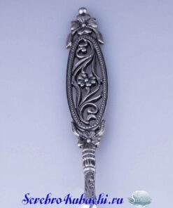 серебряная ложка верба