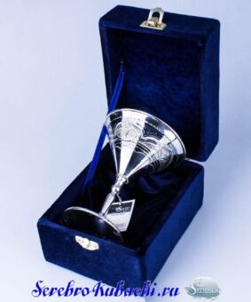 Серебряный бокал Воронка 5 серебряный бокал для мартини