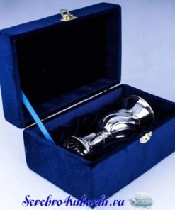 красивый серебряный бокал