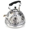 красивый серебряный чайник для кипятка