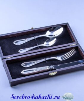 серебряный набор приборов