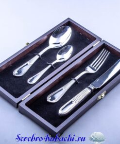 серебряный набор приборов