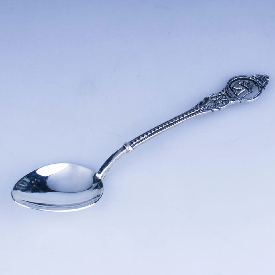серебряная ложка водолей