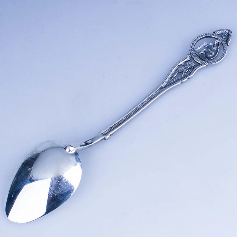 ложка водолей