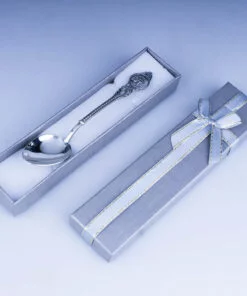 серебряная ложка водолей